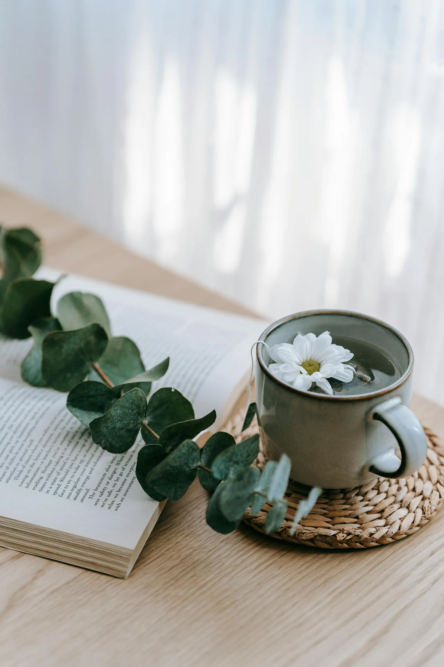 Books And Cup