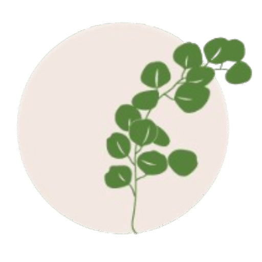 Within You Coaching Featured Image